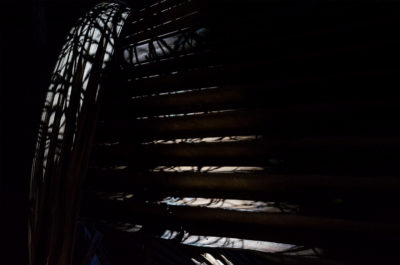 Les songes verts du Black Parrot