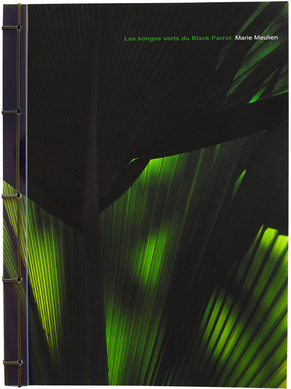 Les songes verts du Black Parrot