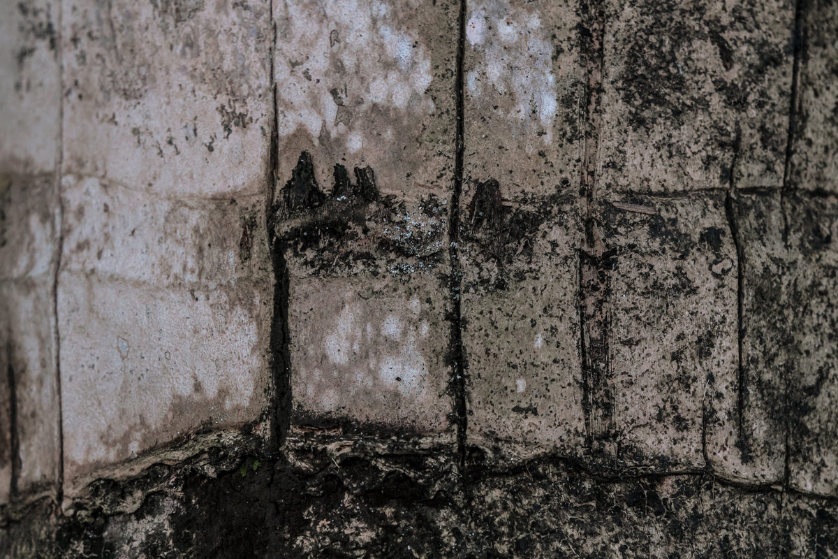 D’étranges neiges